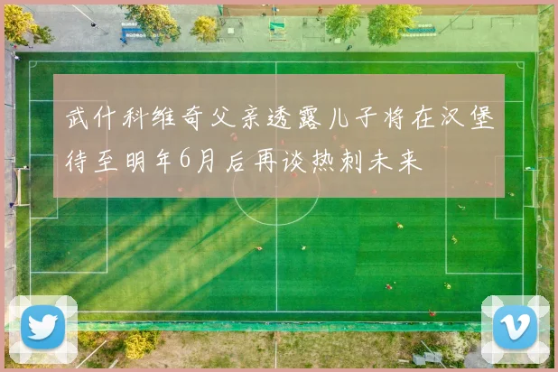 武什科维奇父亲透露儿子将在汉堡待至明年6月后再谈热刺未来