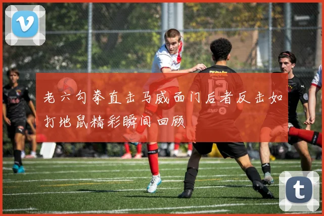 老六勾拳直击马威面门后者反击如打地鼠精彩瞬间回顾