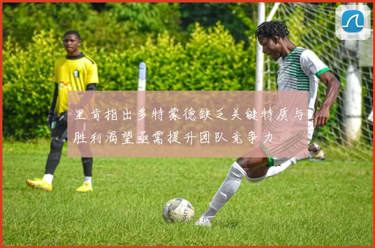 里肯指出多特蒙德缺乏关键特质与胜利渴望亟需提升团队竞争力