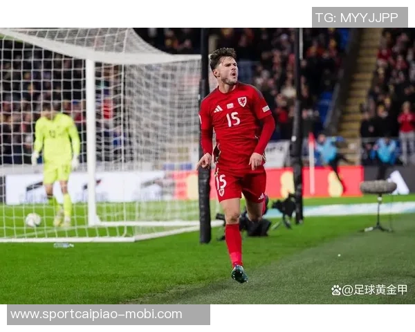 威尔士国家队迎来百场里程碑32岁后卫本戴维斯对阵比利时